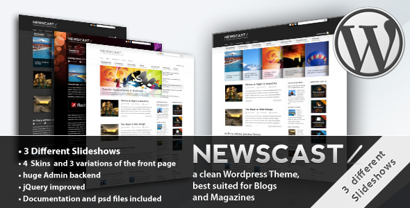 Newscast for WordPress Interview Christian Kriesi