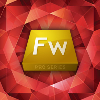 Fireworks Pro Series