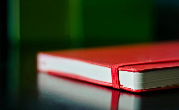A designer's best friend