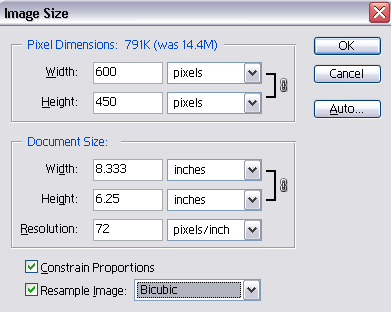 Serve scaled images for the web