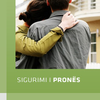 Web Design Workshop #9: Illyria Insurance
