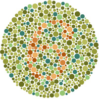 Designing For, and As, a Color-Blind Person