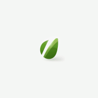 Quick Tip: Avoid FOUT by Adding a Web Font Preloader